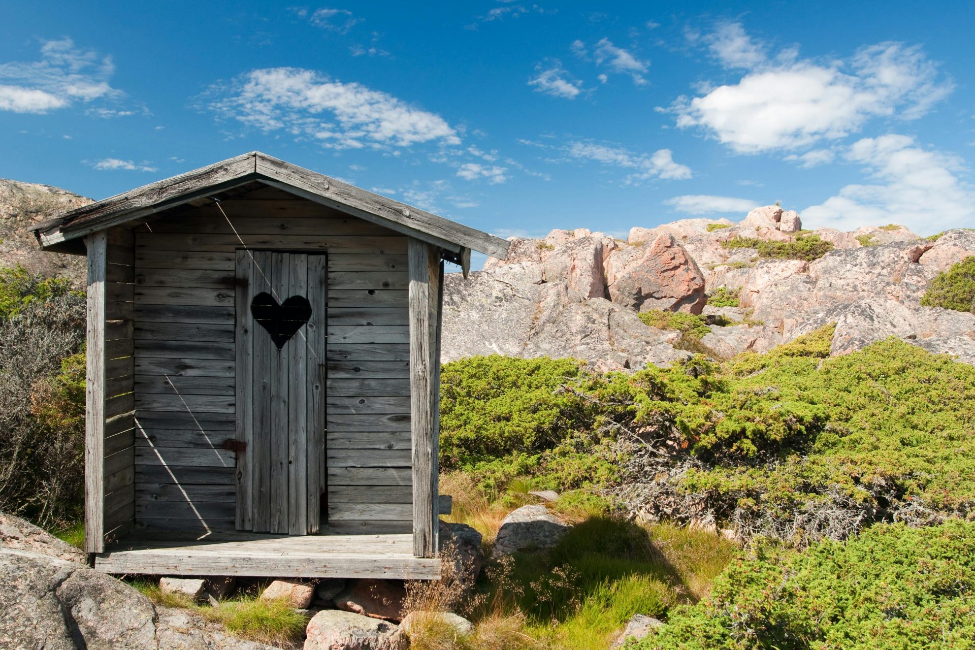 Considerations Before Choosing a Shed Door