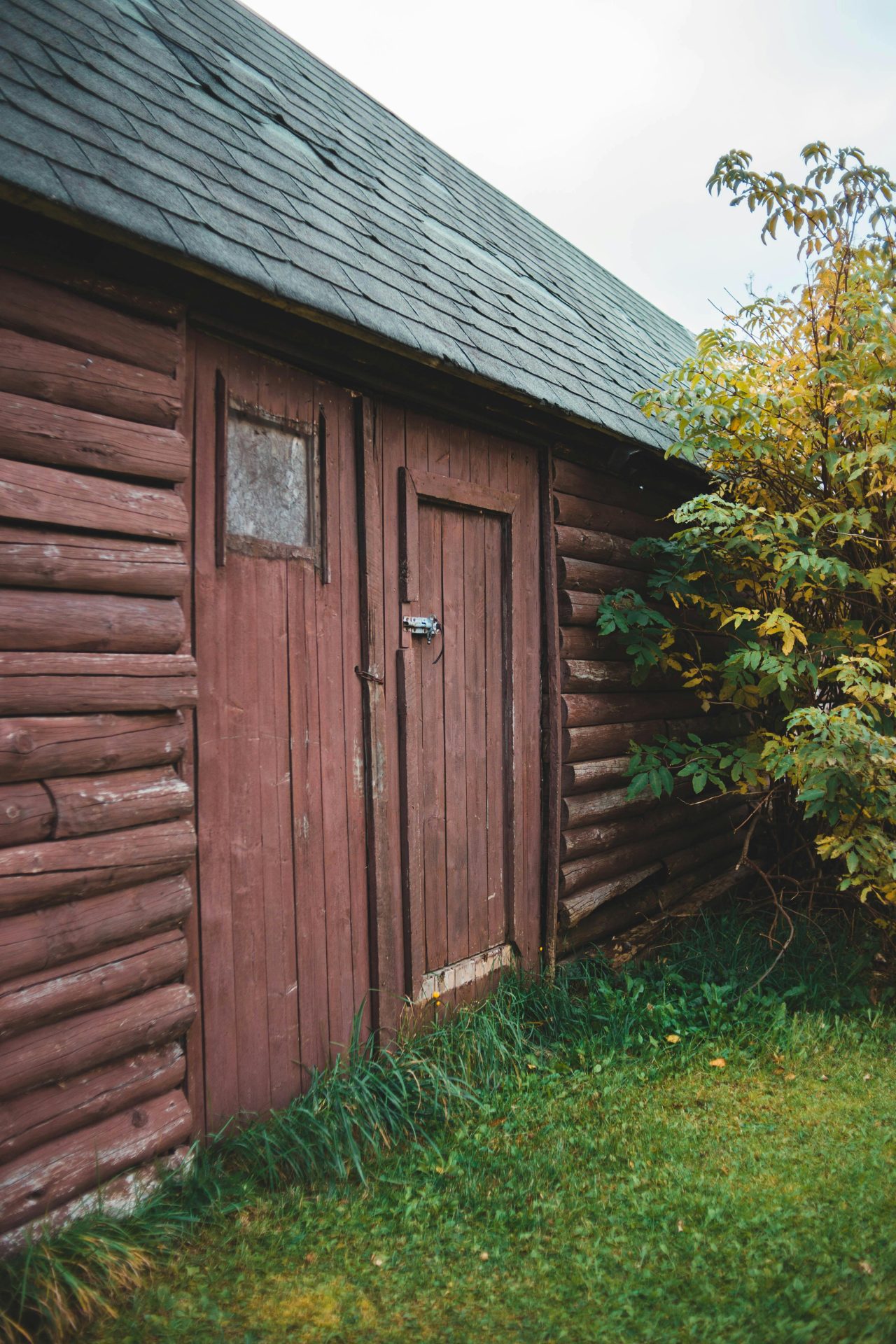 Exploring Types of Shed Doors