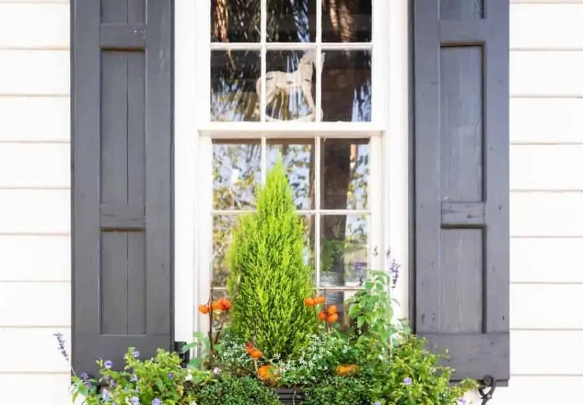 Garden Window Box Ideas Cornerstone Kingstreet