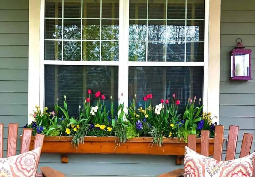 Rustic Window Box Ideas Divine Containers